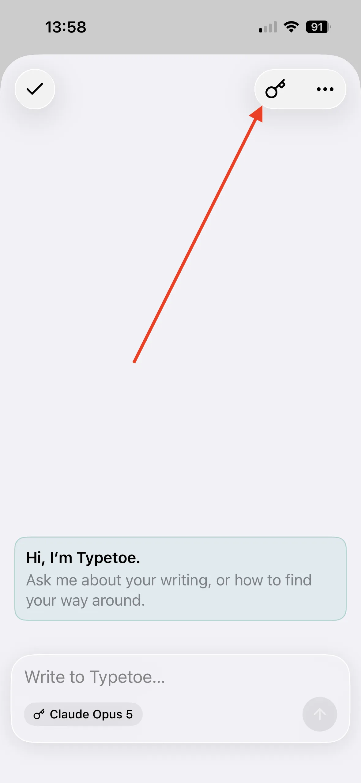 Typetoe on iPhone: a provider's card with the field for the API key.